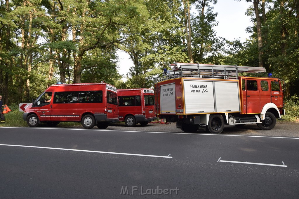 Waldbrand Koeln Hoehenhaus Hoehenfelder Mauspfad P008.JPG - Miklos Laubert